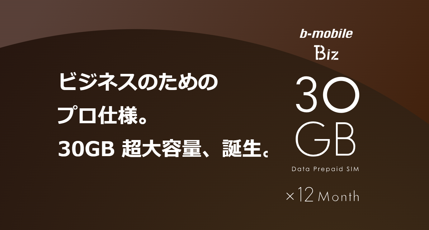 日本通信】通信コストを簡略化！ビジネスに最適なプリペイドSIM